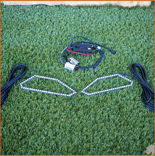 Light Halo KIT All Models from Dirt Monkey FREE SHIPPING!