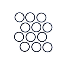 Load image into Gallery viewer, Dirt Monkey Performance Primary Clutch Damper O-Rings