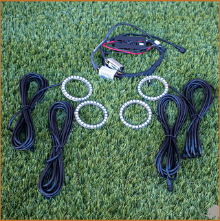 Light Halo KIT All Models from Dirt Monkey FREE SHIPPING!
