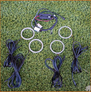 Light Halo KIT All Models from Dirt Monkey FREE SHIPPING!